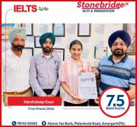 IELTS-65