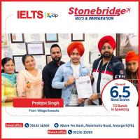 IELTS-81